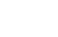 Discover The Palm Beaches Florida with palm frond