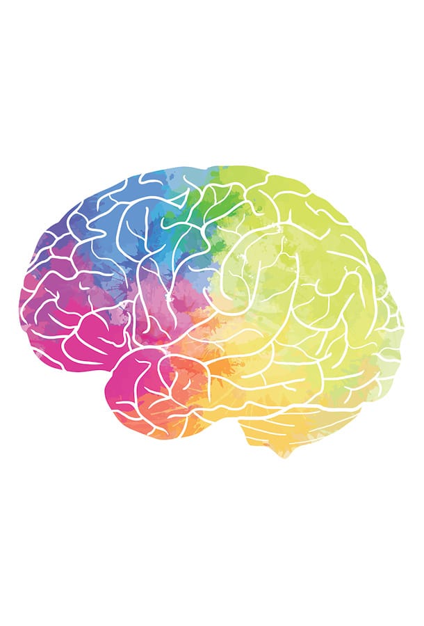 NeuroArts Featured Image - Image depicts a 2D Brain separated into rainbow colors.
