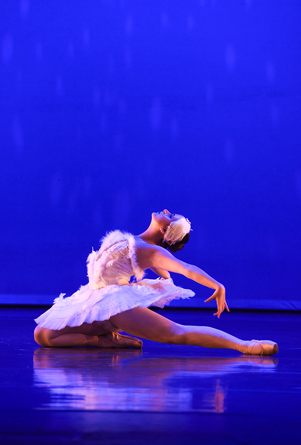 PARIS BALLET  PRESENTS  SPRING PERFORMANCE SERIES 2024  AN EVENING OF BALLET AND MORE